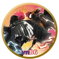 vn86
