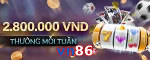 vn86