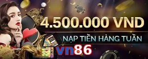vn86